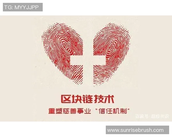 区块链技术如何提升慈善赌注的透明度与信任度