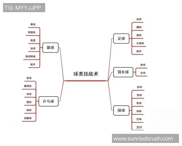 篮球战术板应用程序成功开发助力教练战术分析与球队训练效率提升
